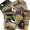 Stages Learning Materials Farm Animal Real Life Learning Poster Set, Set of 10 SLM-152 - alternate 2